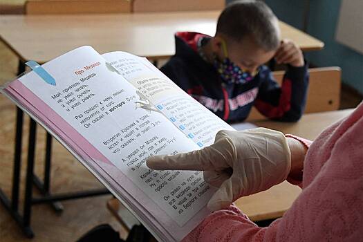 В российских школах появятся учителя без высшего образования