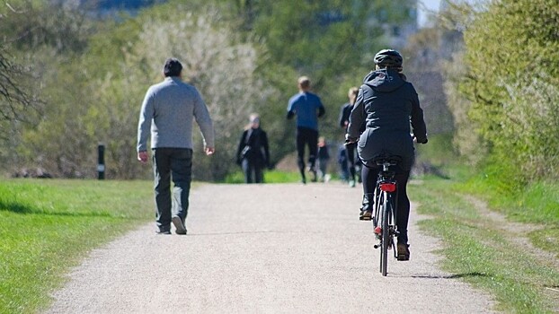 Кто кого притесняет? В Тюмени опять спорят о велодорожках