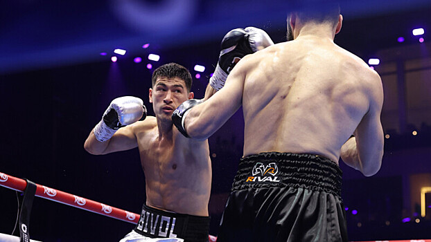 Катмен Бивола предположил, что боксер вернется на ринг в феврале