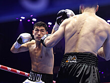 Катмен Бивола предположил, что боксер вернется на ринг в феврале