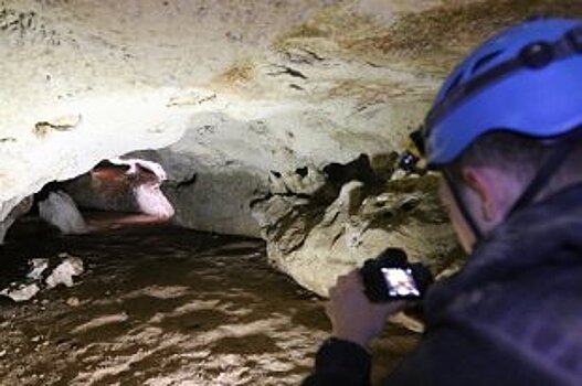 В Крыму ученые нашли исторический вход в пещеру у трассы "Таврида"