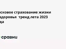 Рисковое страхование жизни и здоровья  тренд лета 2023 года