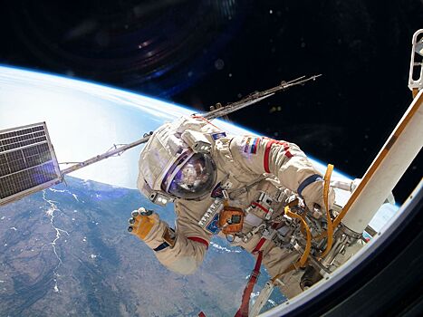 Космонавтов начнут отправлять в космос без селезенок