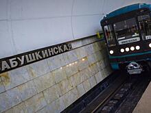 В метро Москвы спасли спустившуюся на рельсы женщину