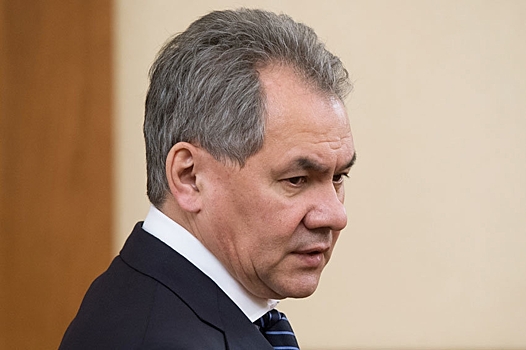 Шойгу обратился к министру обороны Чехии с призывом