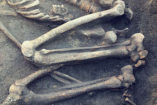 ITV: на юге Германии обнаружили более 1 тыс. скелетов в чумных ямах