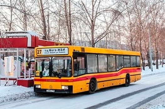 На Урале оштрафовали компанию, требовавшую оплатить проезд собаки-поводыря