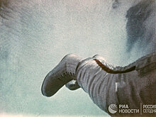 Космических туристов может поразить космическая болезнь, предупреждает астронавт НАСА