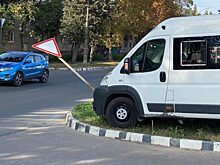 Дорожный знак спас пешеходов от маршрутки