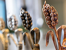 Конкурсанты «Золотого колоса — 2026» разработают проект центра на ВДНХ