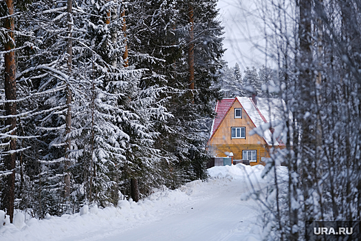 В Челябинске число выставленных на продажу дач выросло на 20%