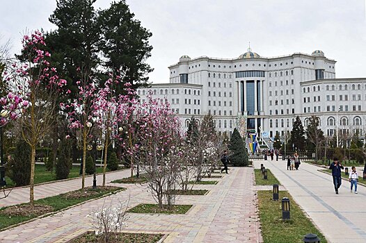 Интернет для удобства людей: как в ближайшем будущем "поумнеет" Душанбе