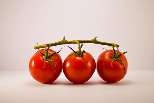 Могут ли генно-модифицированные помидоры сделать людей спокойнее