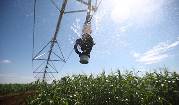 Волгоградское предприятие открыло новое производство благодаря господдержке