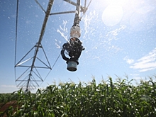 Волгоградское предприятие открыло новое производство благодаря господдержке