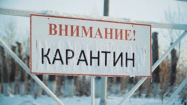 В Кирово-Чепецком районе установили карантин по бешенству