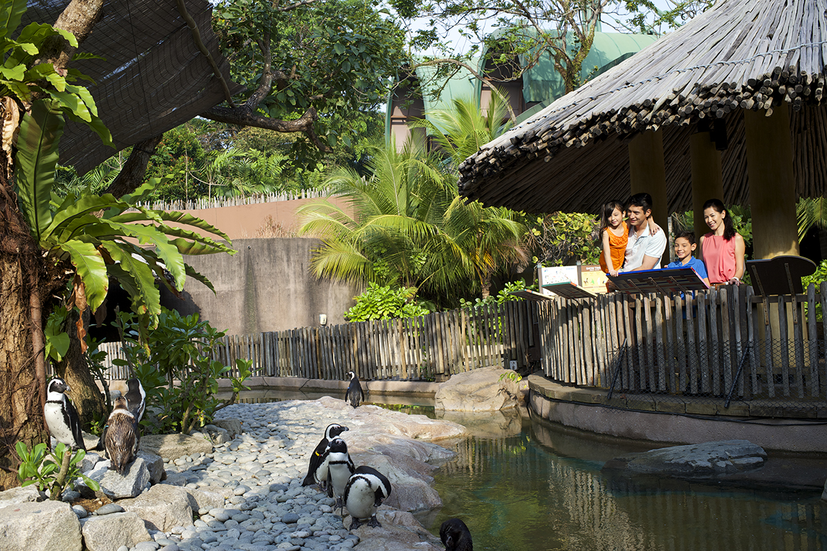 Парк птиц Джуронг, Сингапур, Азия