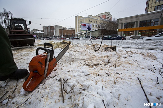 В сквере за оперным театром начали пилить деревья