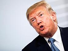 Трамп высмеял Блумберга