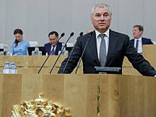 Володин запустил опрос о тестировании детей мигрантов