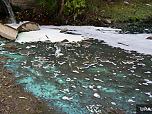 Структуру Вексельберга в Перми наказали за загрязнение рек
