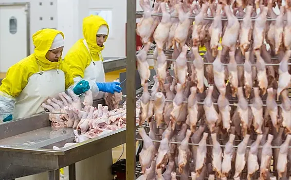 В Минсельхозе ответили на информацию о дефиците куриного мяса