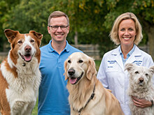 В Ижевске начала работать ветеринарная операционная на колесах