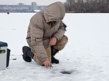 Лунки не для улова: рыбаки и экологи спасают рыбу от «замора»