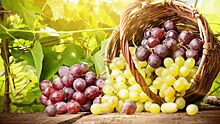 Виноград против холестерина