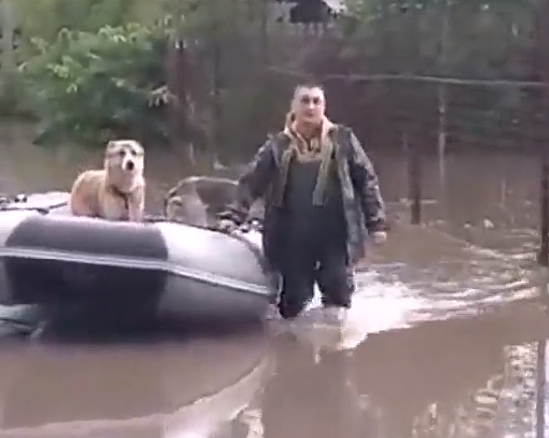 В Белогорске размыты дороги, из зоны риска эвакуируют людей и животных