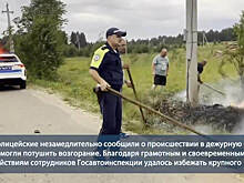 В Кировской области наряд ДПС помог потушить возгорание травы