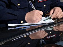 Разрешат ли водителем оплачивать лишь 30% штрафа?