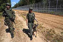 Литва усилила охрану границы