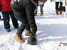 Более 14 тысяч новгородцев в 2023 году поучаствовали в мероприятиях «Движения первых»