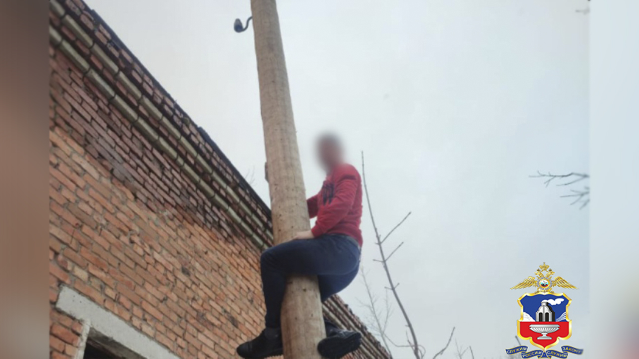 Кражу кабелей общей протяжённостью свыше 1,6 километра раскрыли полицейские в Алтайском крае