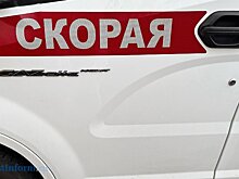 В Вадинском районе пострадал 8-летний пассажир мотоблока