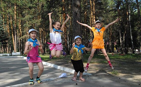 Где узнать информацию о детских лагерях в Новосибирской области