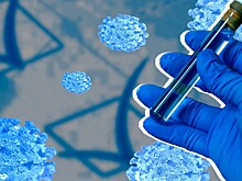 Политический тест на коронавирус