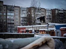 ВС поддержал продление рассрочки по выплате долгов граждан