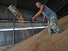 Bunge оптимизирует зерновой бизнес в России