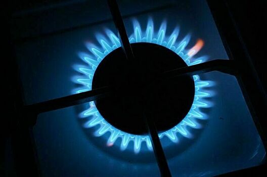 Сербский министр заявил о желании Белграда сотрудничать с Москвой в газовой сфере