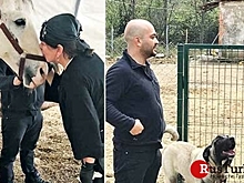 Сезен Аксу заботится о больной раком лошади