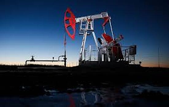 Подсчитаны потери России от обвала цен на нефть