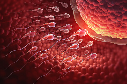 Ученые предупредили об опасности получения яйцеклеток из кожи