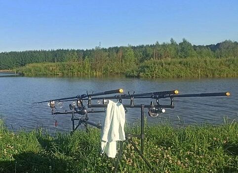 Нижегородка получила от правительства региона деньги на семейный рыбный бизнес