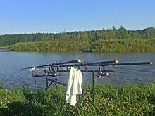 Нижегородка получила от правительства региона деньги на семейный рыбный бизнес