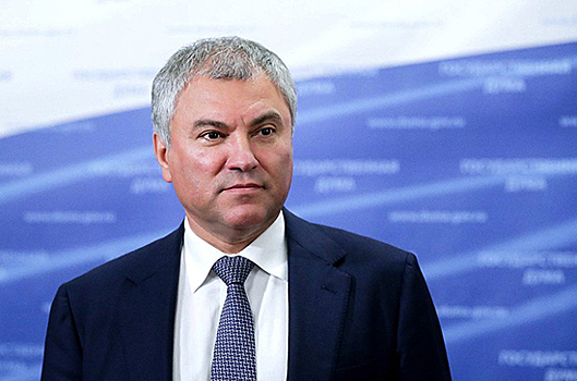 Мишустин одобрил предложение проработать меры против убыли населения