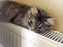 В Москве повысили температуру в системе отопления