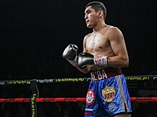 Альберт Батыргазиев, карьера в профессиональном боксе, поражение Батыргазиева нокаутом, Батыргазиев взял паузу в карьере, рекорд