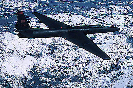 Названа причина усиления активности НАТО в Черном море